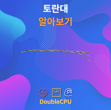 토란대 알아보기