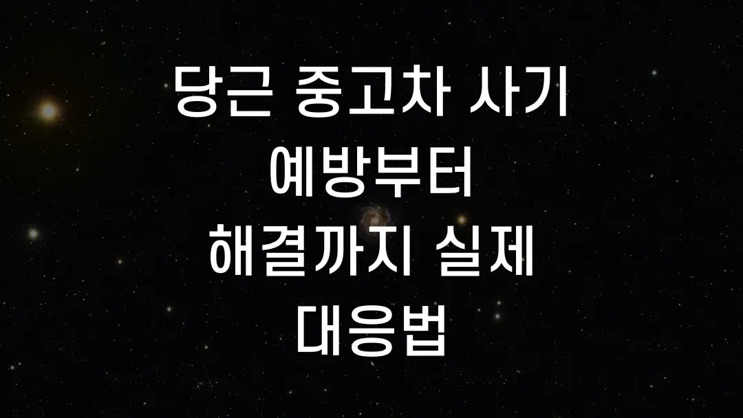당근 중고차 사기 예방부터 해결까지 실제 대응법