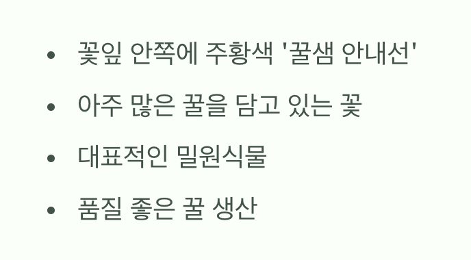 벌들에게는 최고의 맛집