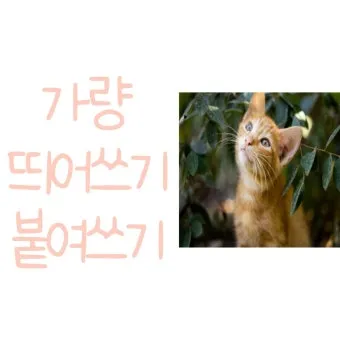 한달 띄어쓰기와 올바른 표기_4