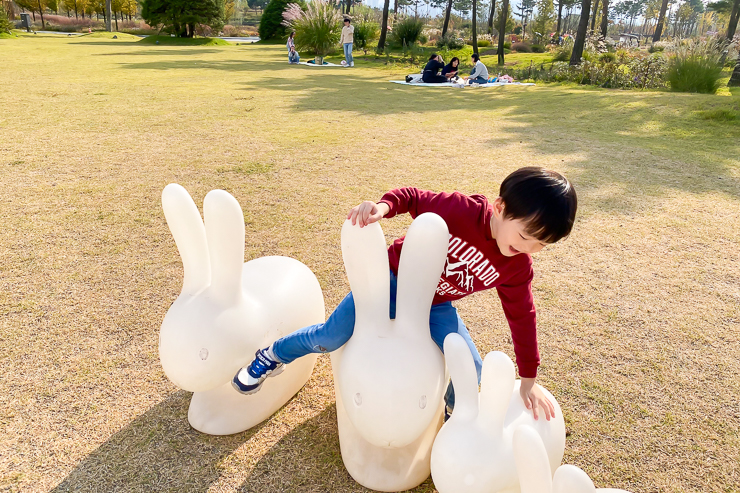 국립세종수목원 앞마당 토끼 인형