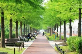 나는 빛나는 별처럼 느꼈습니다 한밭수목원 클레마티스 전시회 관람기_11