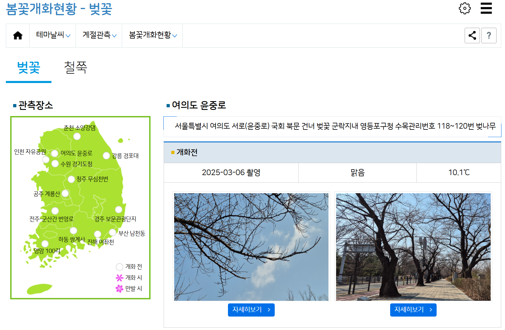 기상청 봄꽃개화현황 이미지