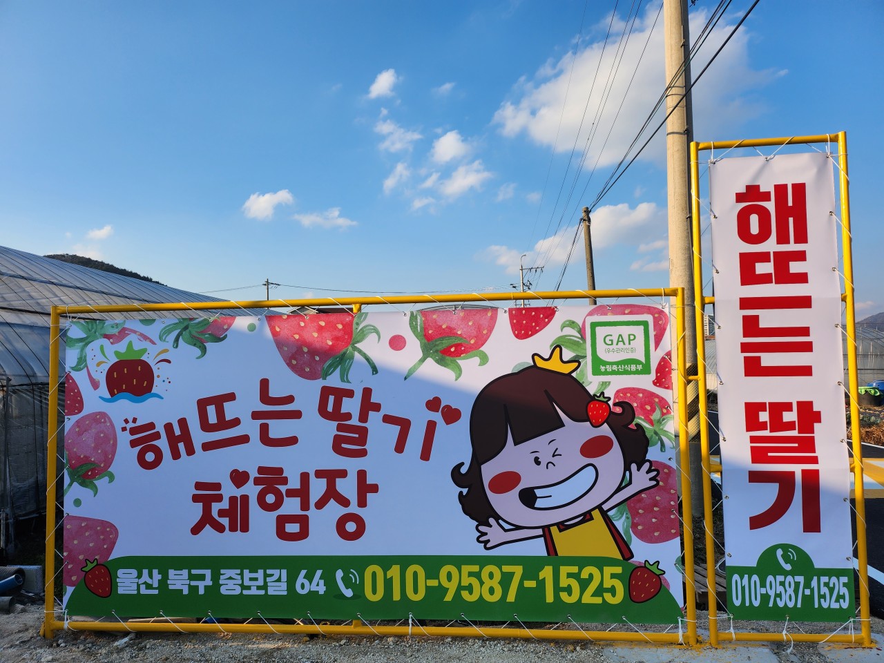 딸기 농장 입구 사진