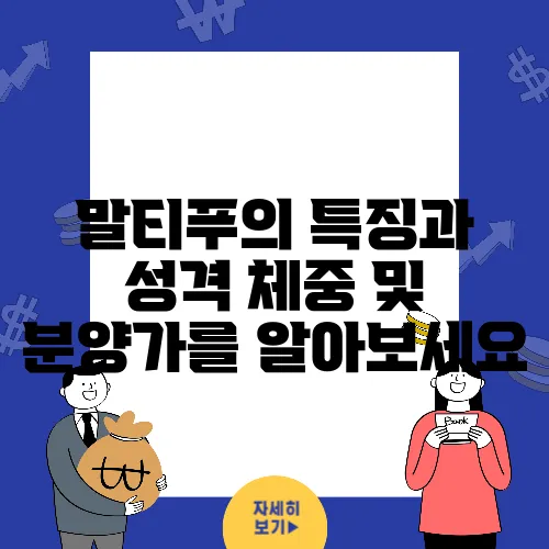 말티푸의 특징과 성격 체중 및 분양가를 알아보세요