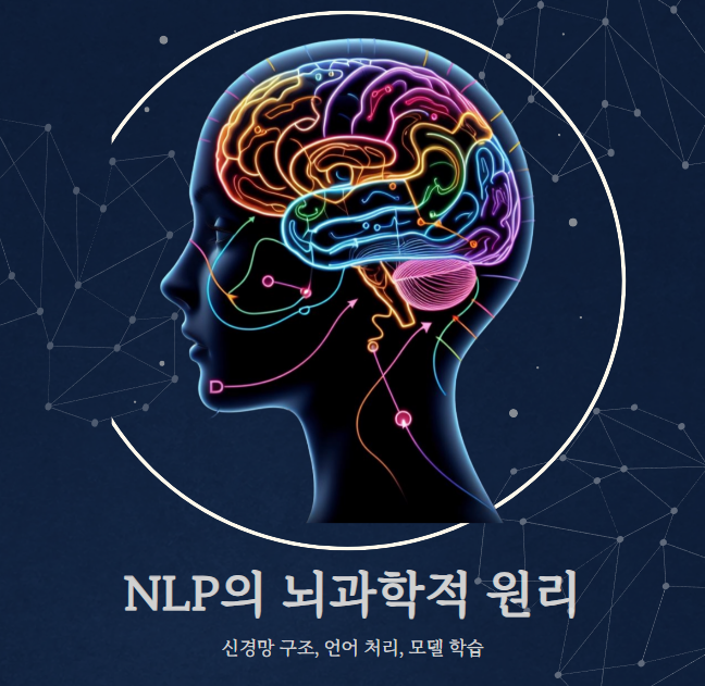 NLP의 뇌과학적 원리 - 신경망 구조, 언어 처리, 모델 학습을 표현한 이미지