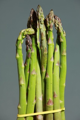 위고비 가격 조회