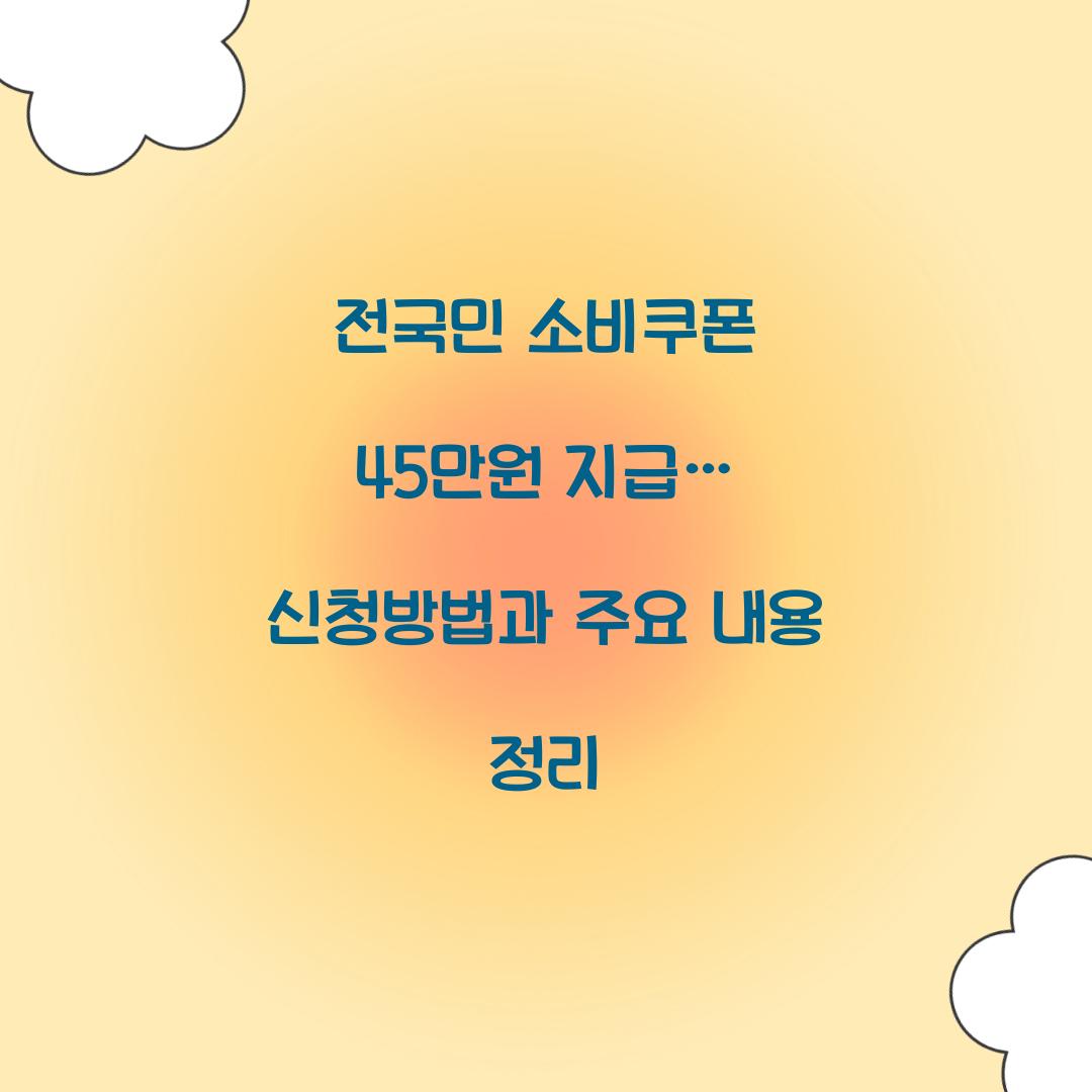 전국민 소비쿠폰 45만원