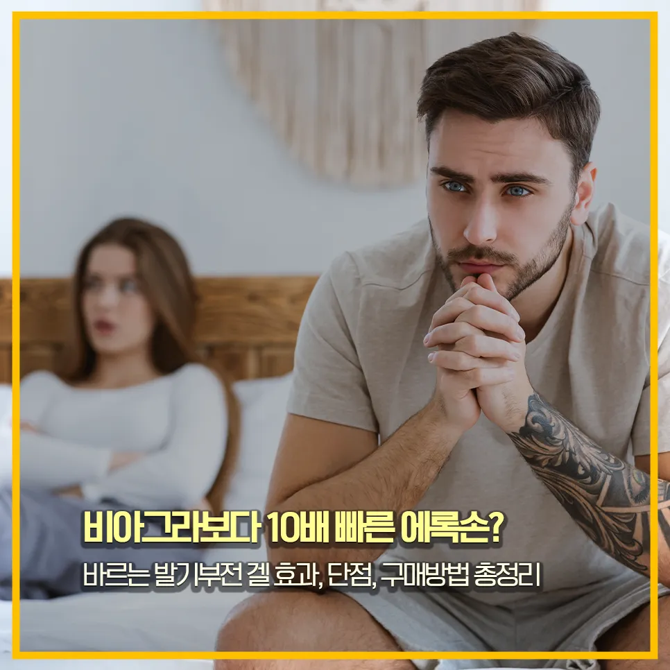 에록손-비아그라-비교