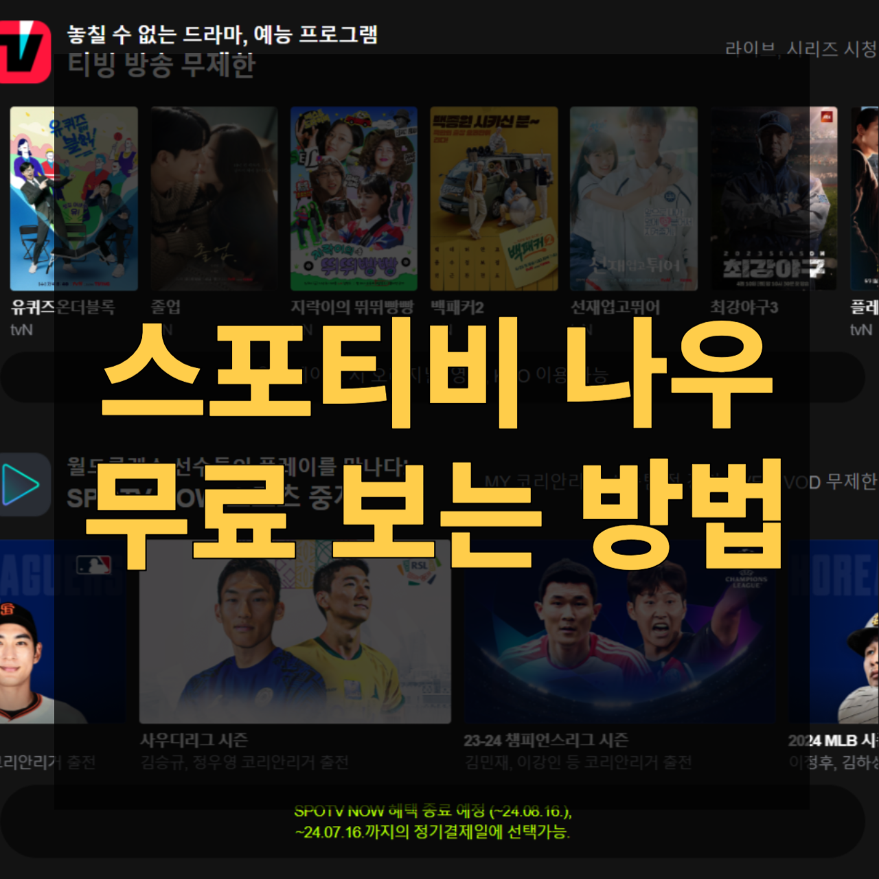 스포티비 나우 무료