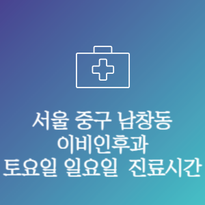 서울 중구 남창동 이비인후과 주말 토요일 일요일 문여는 병원 진료시간