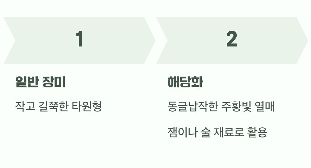 결정적 차이 3: 꽃이 진 뒤를 확인하세요