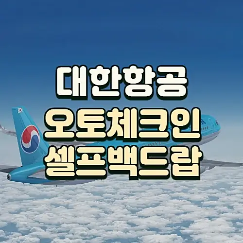 대한항공-오토체크인-셀프백드랍-이용방법