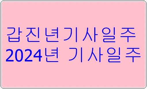 갑진년기사일주