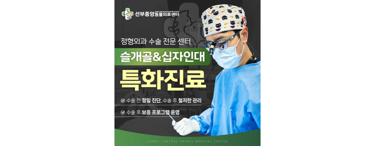 안산 단원구 동물병원