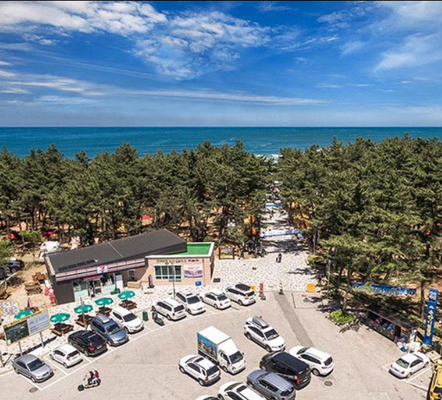 연곡솔향기 캠핑장 예약방법 및 이용방법 총정리