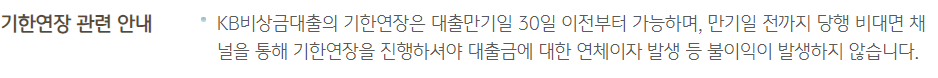 국민은행 KB비상금대출