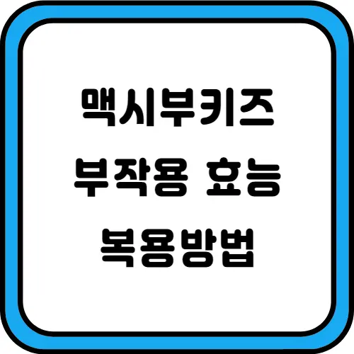 맥시부키즈-썸네일