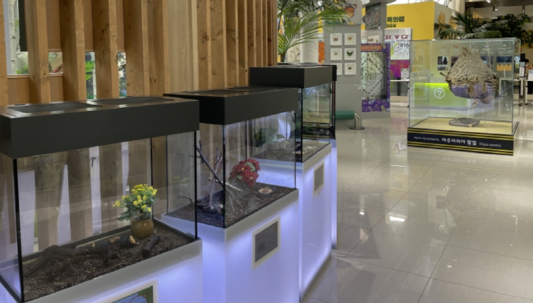 국립과천과학관