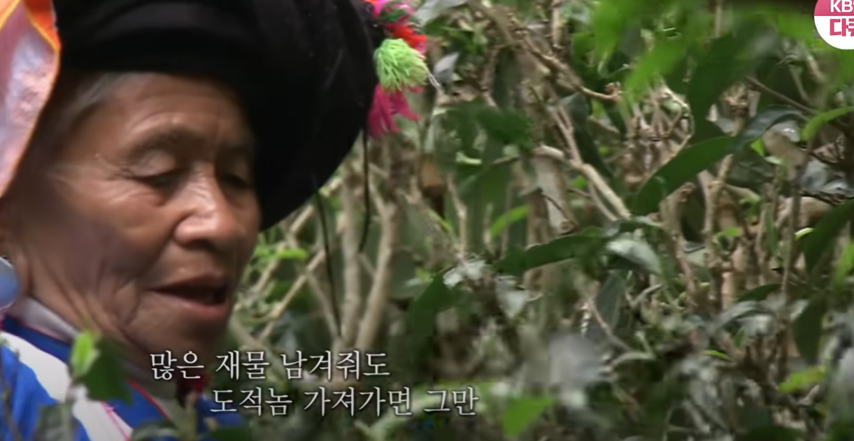 차마고도: 천상의 길 KBS 다큐멘터리 6부작