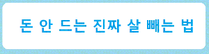 돈 안드는 살 빼는 방법