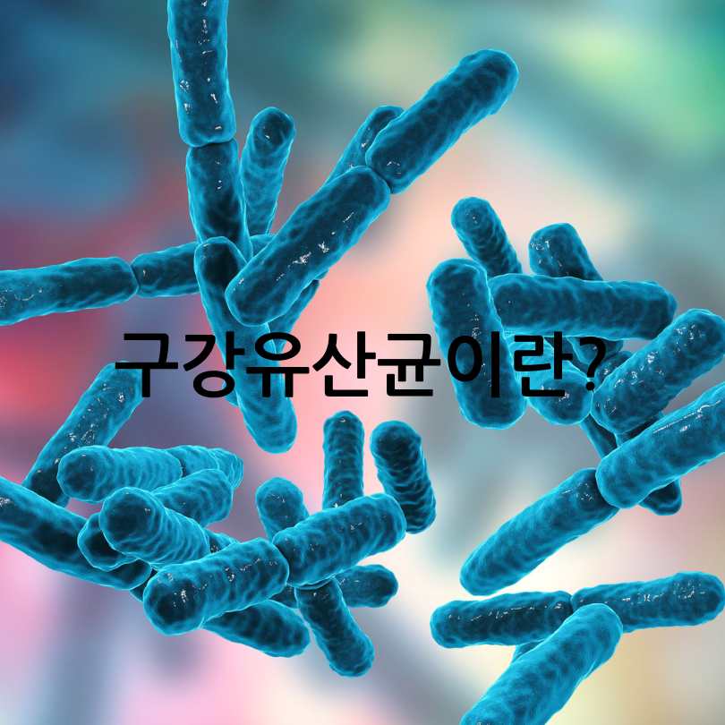 입냄새 원인? 구강유산균 효과와 부작용, 섭취법