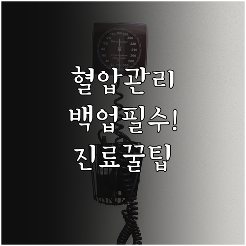 혈압 어플 설치와 데이터 백업 및 병..