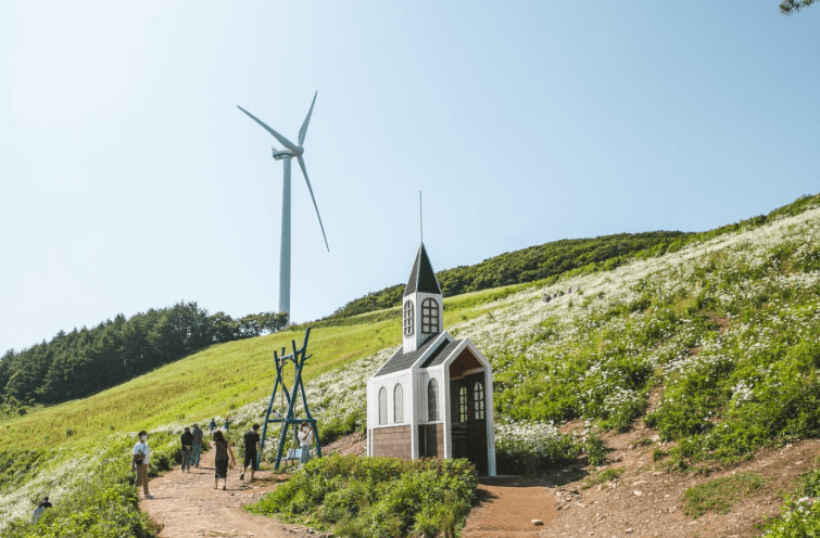 청옥산육백마지기
