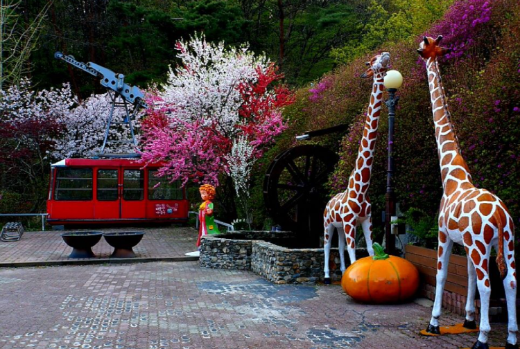 대둔산 케이블카