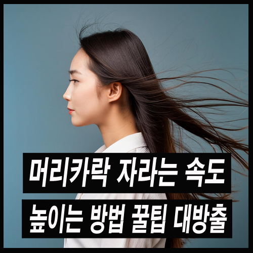 머리카락 자라는 속도