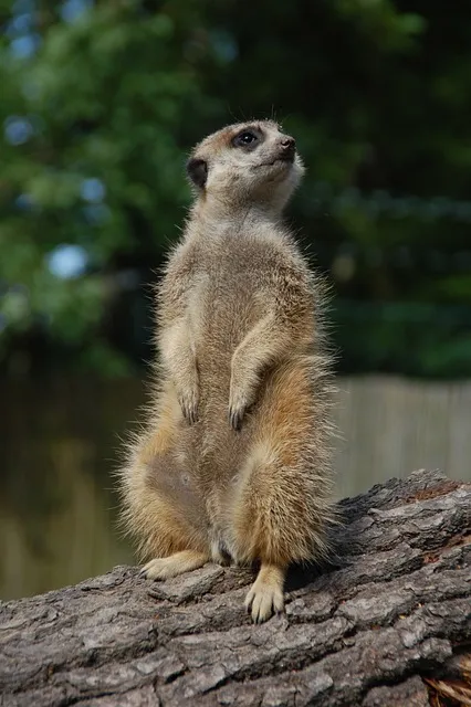 티몬 위메프 큐텐 탈퇴 주의점_6