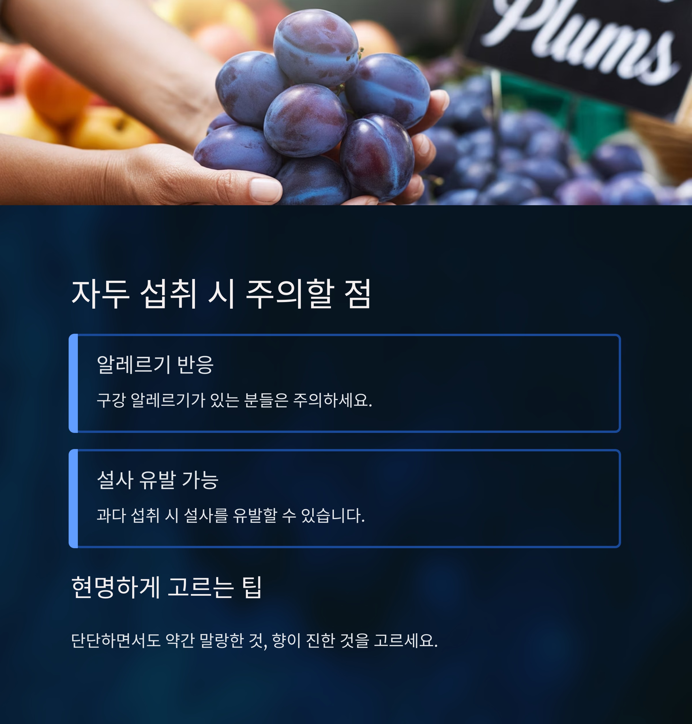 자두 섭취 시 주의할 점 & 현명하게 고르는 팁 🛒
