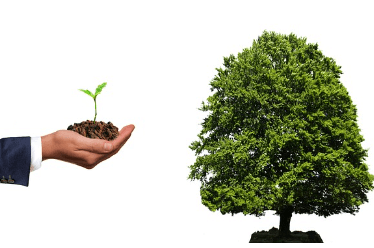 서킷 브레이커 뜻