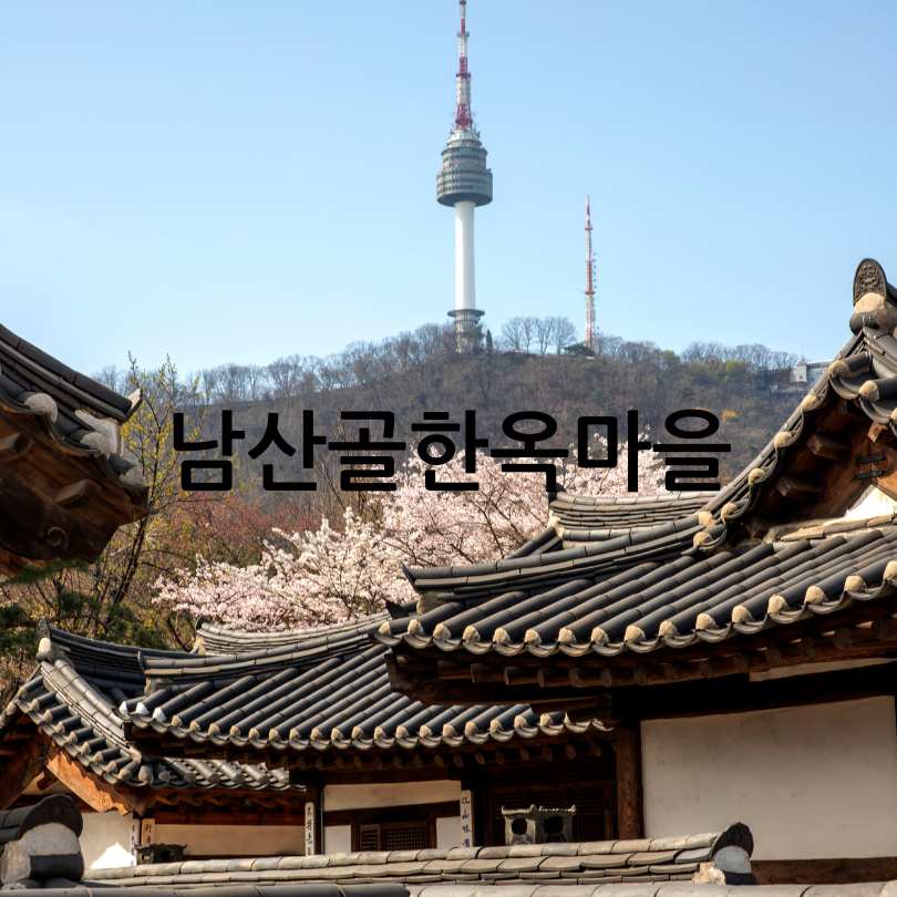 남산골 HOME : 5월 가볼만한 곳,데이트 코스