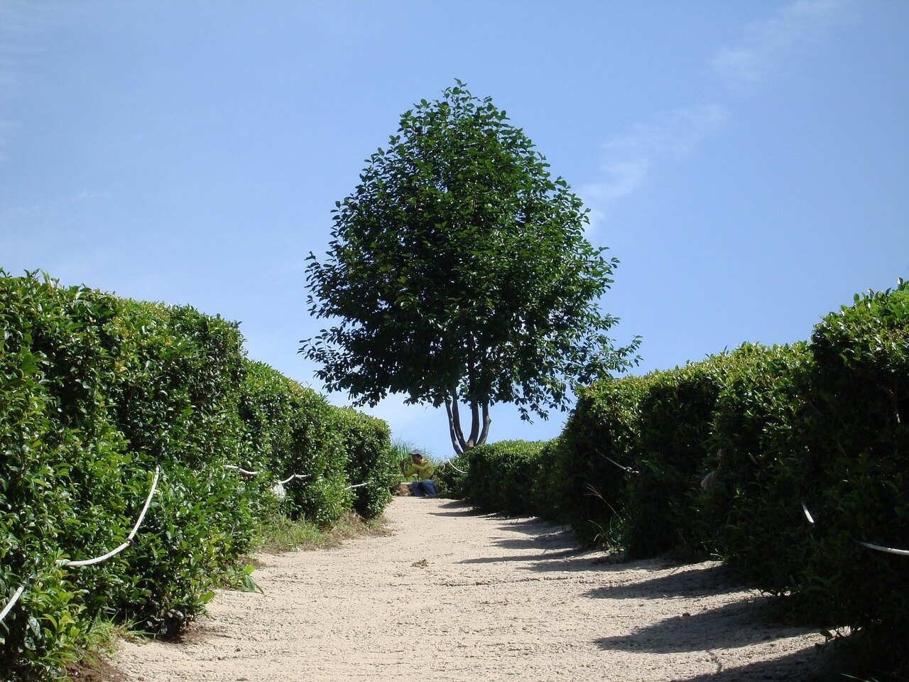 커플 여행지 국내 베스트 10 💕 관련사진