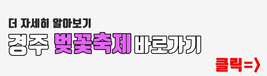 경주벚꽃축제 바로가기