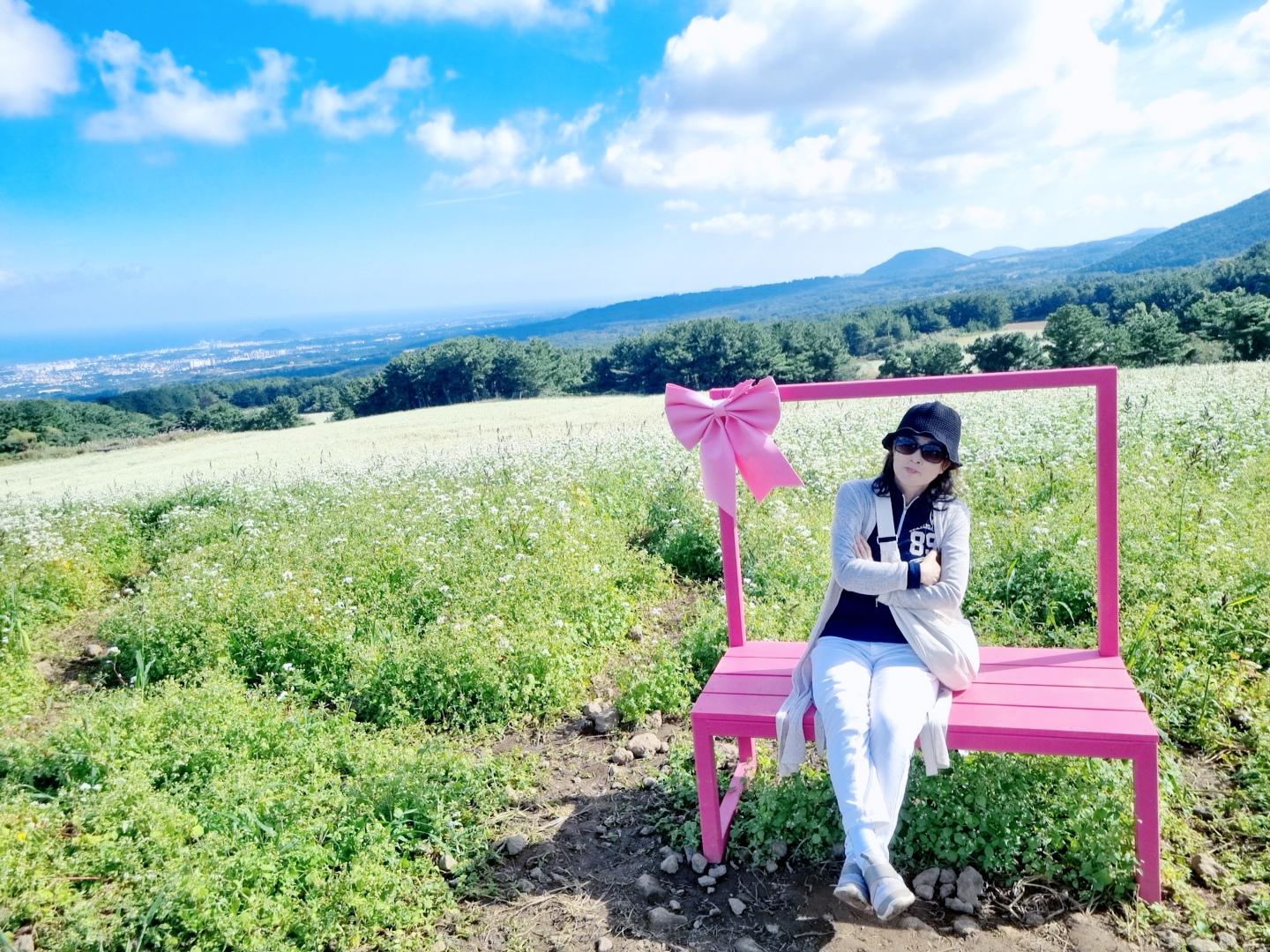 오라동 메밀꽃밭