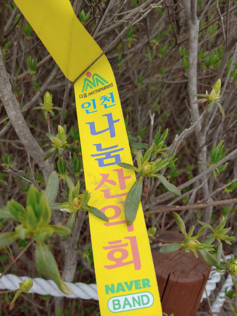 왕방산(737)을-알게된-지-30여년-만에-첫-등반