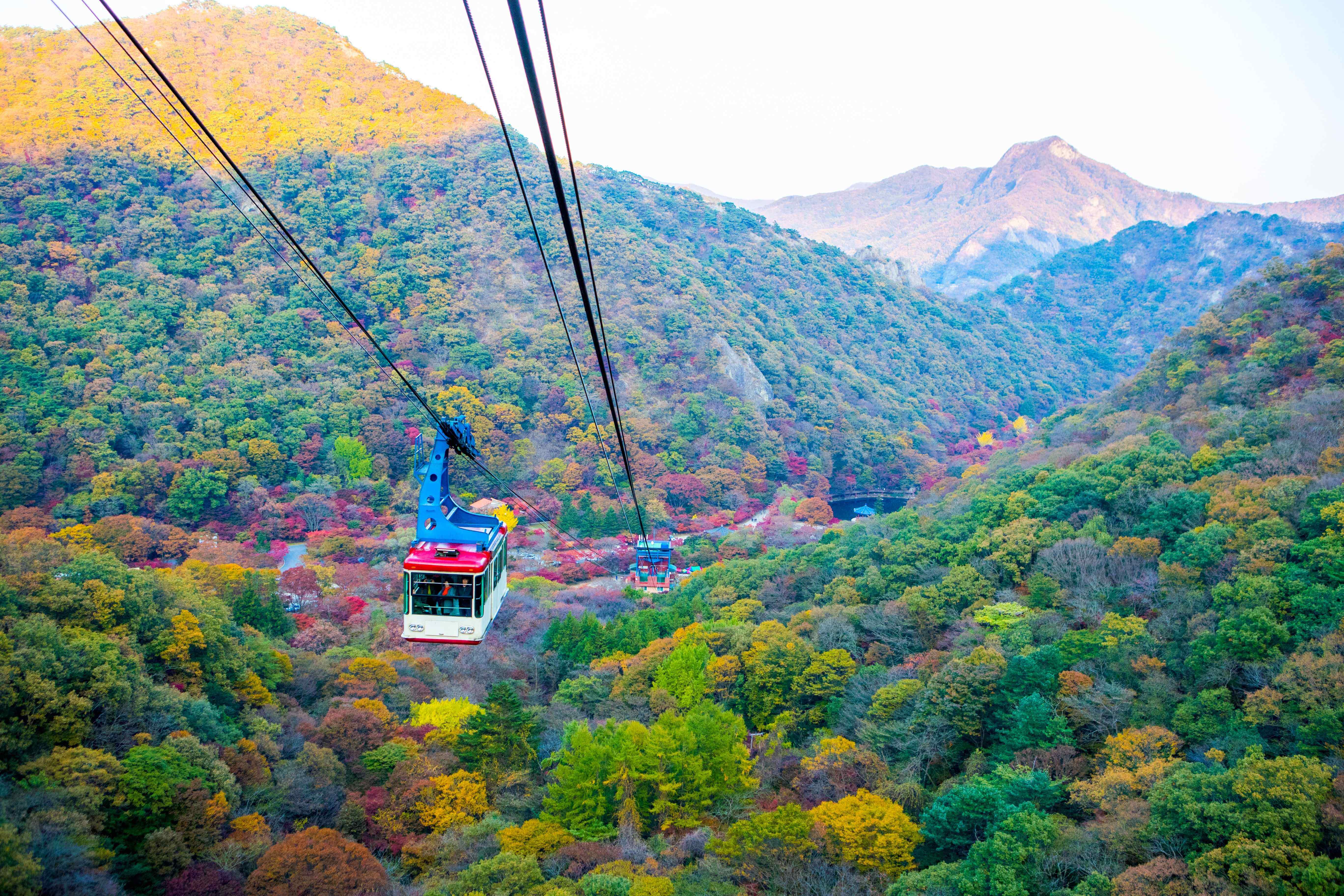 내장산케이블카