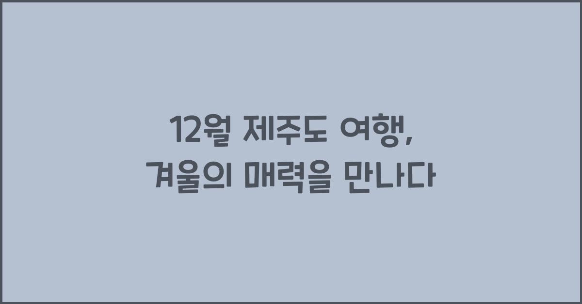 12월 제주도 여행