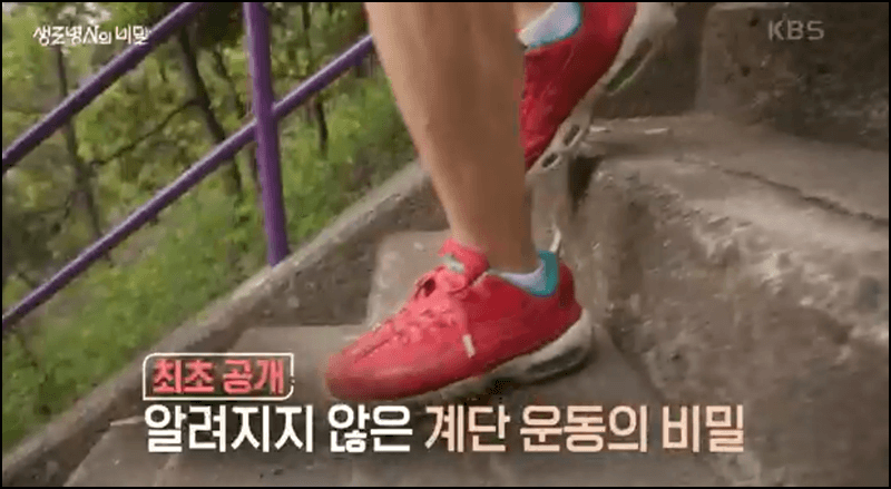 생로병사의 비밀 다시보기 방법 설명