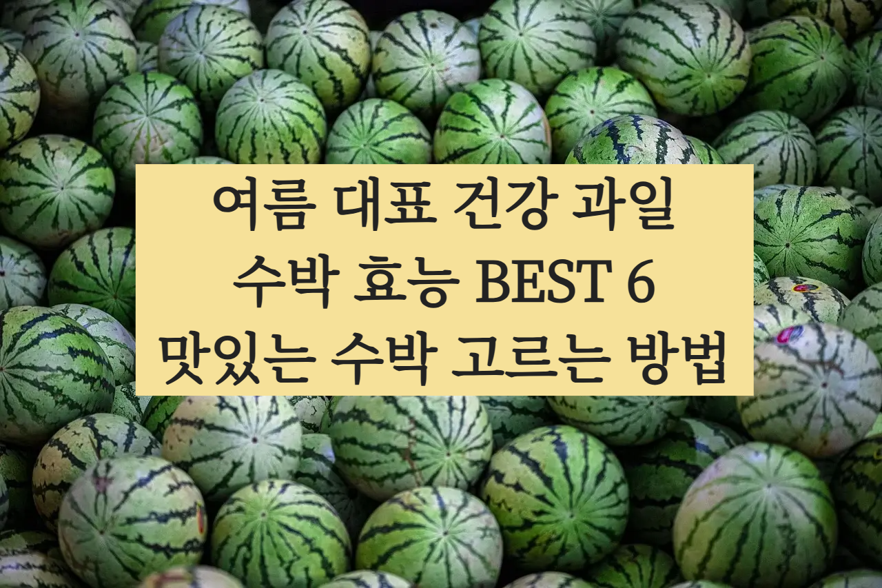 수박 효능