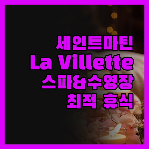 세인트 마틴 여행객 필독 La Vil