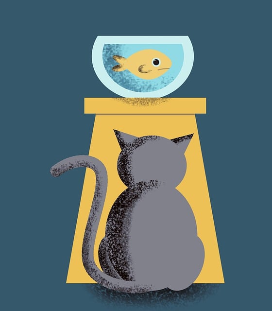 택배 24시간 룰! 현명한 소비 습관으로 가는 지름길