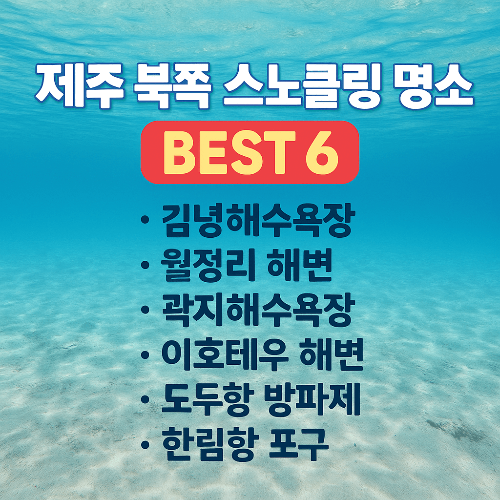 제주 북쪽 스노클링 명소 BEST 6