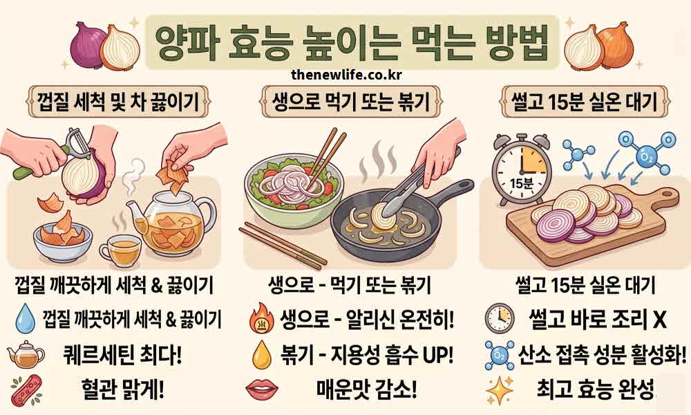 양파 효능 높이는 먹는 방법