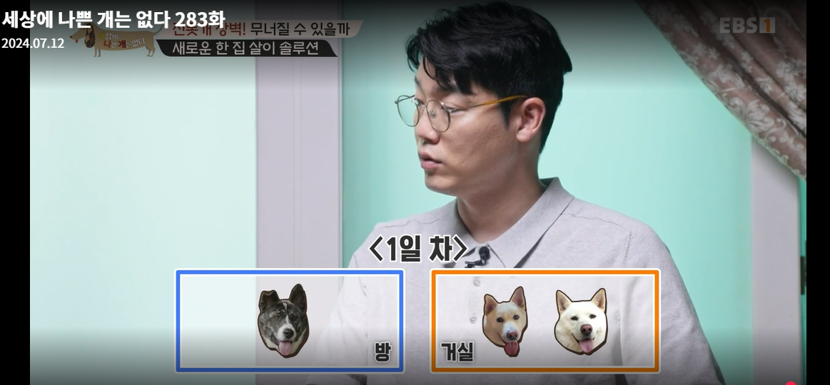 설채현-세상에나쁜개는없다-세나개-283화-진돗개장벽-재방송