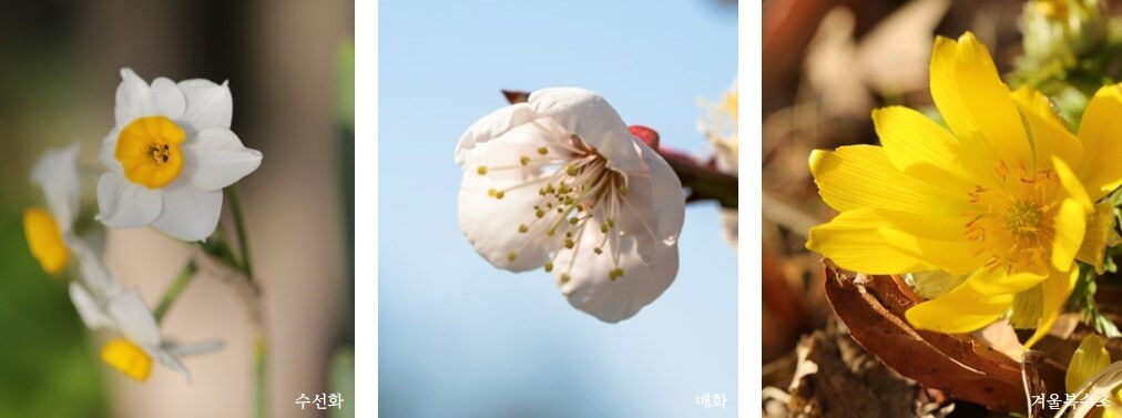 제주 허브동산에는 허브공원이 기본이지만 공원안에는 힐링하우스 펜션도 같이 운영하고 있습니다.
