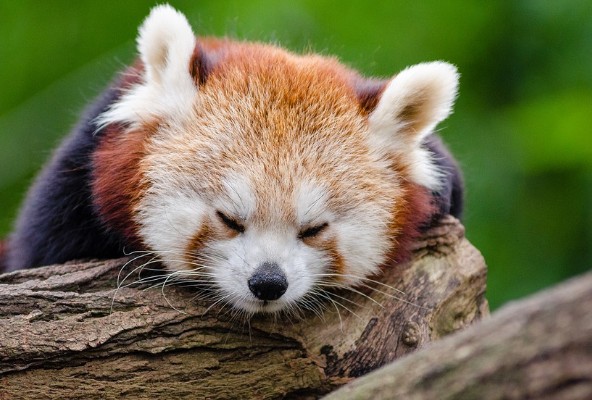 마그네슘 부족증상&#44; 마그네슘 결핍증상 7가지