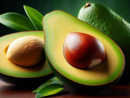 아보카도 오일 고르는 법